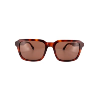 Sunglasses LUCID VISTA model AR8194U, Tiger color, brown lens, acetate, rectangular shape, unisex, 145 mm arm, 19 mm bridge, 53 mm lens size